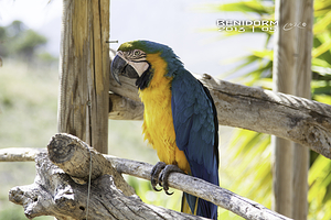 Terra Natura Benidorm