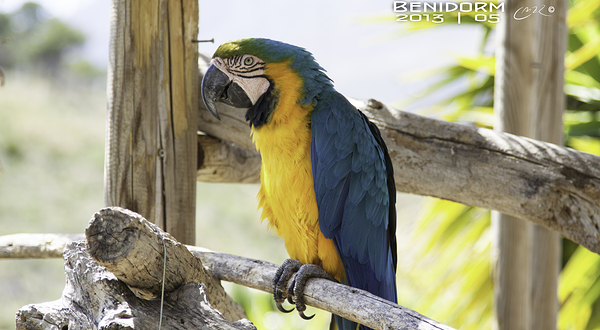 Terra Natura Benidorm