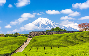 富士山第 12 张图片