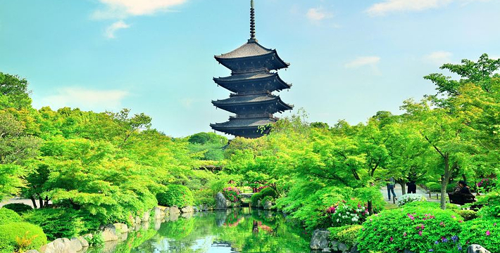 东寺门票,东寺门票预订,东寺门票价格,去哪儿网门票