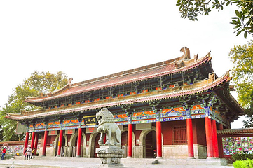 王城公园第 24 张图片