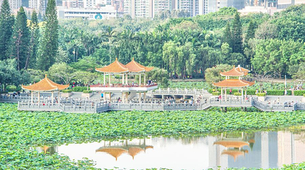 洪湖公园第 1 张图片