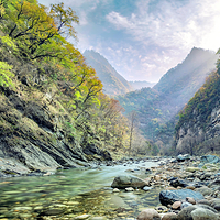 黑河国家森林公园