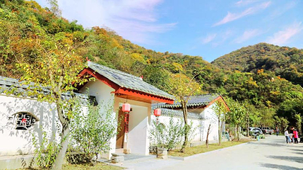 太和梅花谷第 1 张图片
