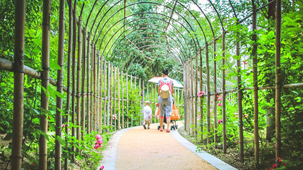 遵义植物园第 1 张图片