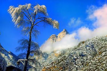 漫山花溪谷第 17 张图片