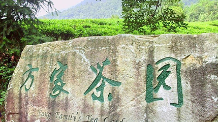 方家茶园第 1 张图片