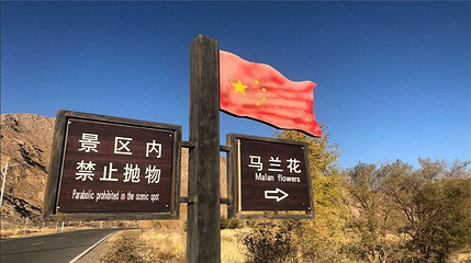 马兰红山军博园第 6 张图片