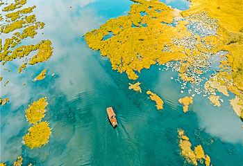 北海湿地第 20 张图片