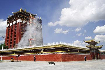 安多合作寺院米拉日巴佛阁第 6 张图片