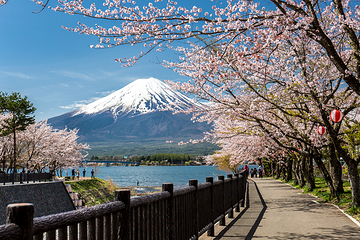 富士山第 14 张图片