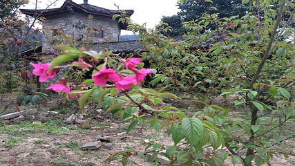 惠州市龙门香溪湾第 25 张图片