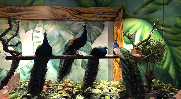 天津zoonly动物主题公园