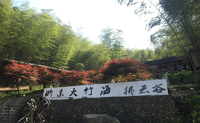 浙东大竹海景区第 37 张图片