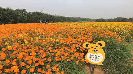 辽宁朝阳鸟化石国家地质公园第 86 张图片
