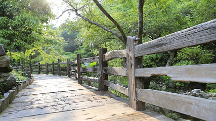 雁南飞茶田景区-桥溪古韵第 19 张图片