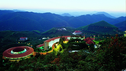 雁南飞茶田景区第 26 张图片