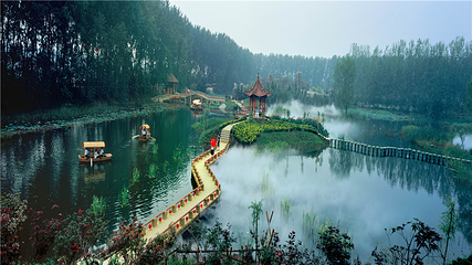 滕州微山湖红荷湿地第 86 张图片