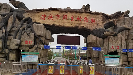 诸城市动物园第 30 张图片