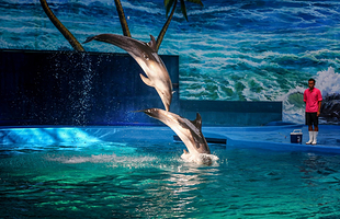 赣州极地海洋世界