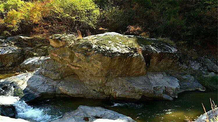 抚顺龙胆大峡谷第 11 张图片