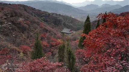 莲花山第 3 张图片