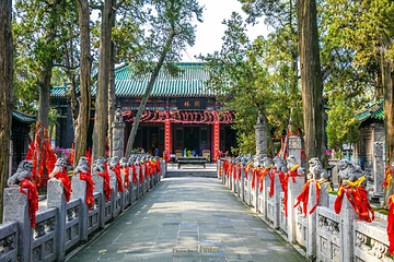 关林街道第 2 张图片
