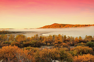 御道口草原森林风景区