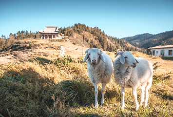 灵山景区第 2 张图片