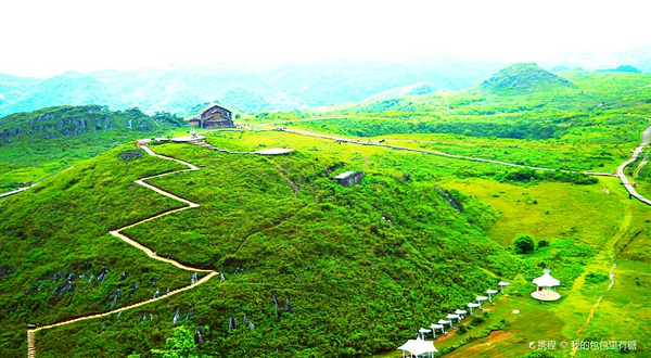 百里杜鹃方家坪景区