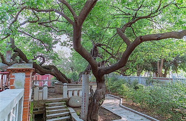泉州开元寺第 73 张图片