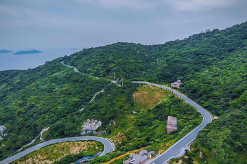 花鸟岛第 38 张图片