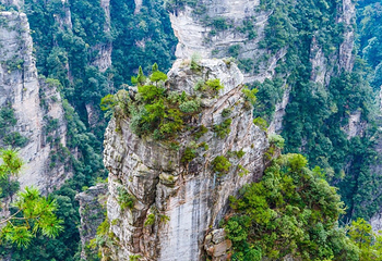 袁家界景区第 39 张图片