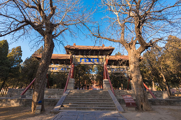 中岳庙第 6 张图片
