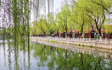 芙蓉街第 38 张图片