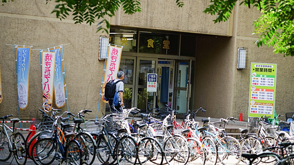 北海道大学第 33 张图片