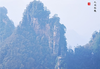 杨家界景区第 27 张图片
