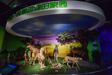 武汉科学技术馆第 10 张图片