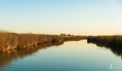 黄河入海口第 4 张图片
