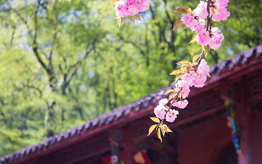 琅琊寺第 13 张图片