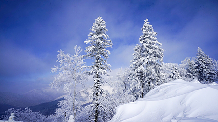 亚雪驿站十里画廊第 4 张图片