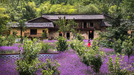 巴山大峡谷第 79 张图片
