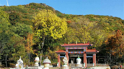 香炉山国家森林公园第 17 张图片