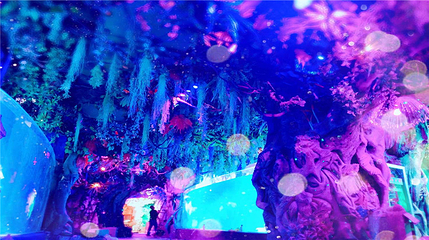 宁夏幻太奇海洋公园第 26 张图片