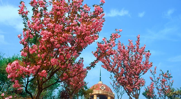 晚安家居文化园(车塘河路店)