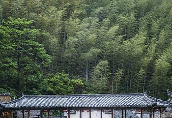 木坑竹海第 32 张图片