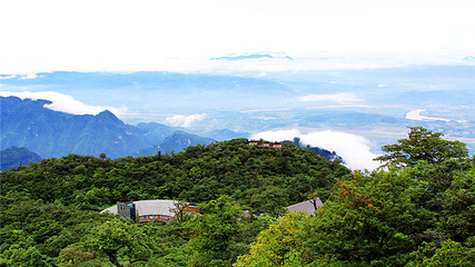 天门山国家森林公园第 281 张图片