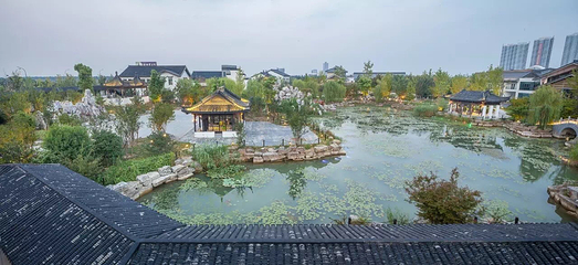 常州花博会第 3 张图片
