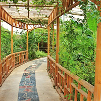 水镜湖休闲度假旅游区