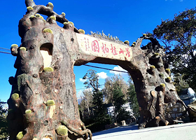 大理苍山植物园